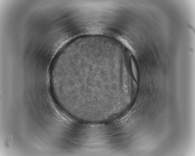 X0000094940584200712201116