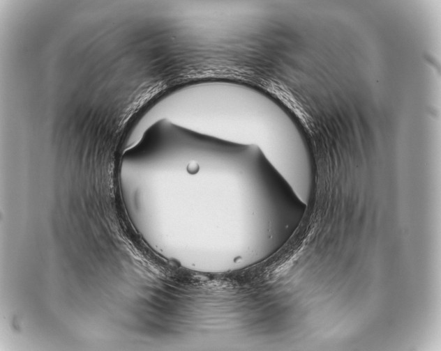 X0000094940585200712201116