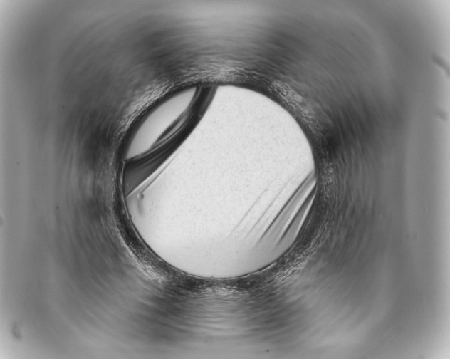 X0000094940586200712201116