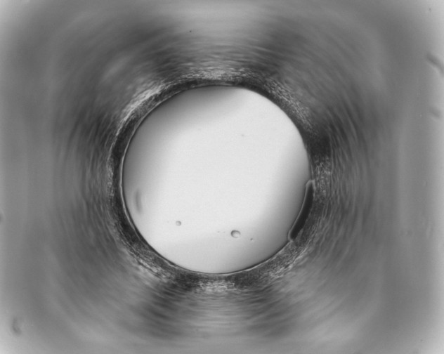 X0000094940587200712201116