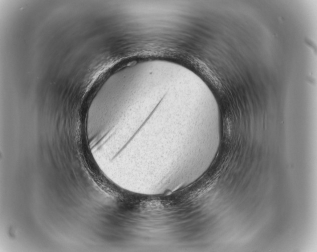 X0000094940588200712201116