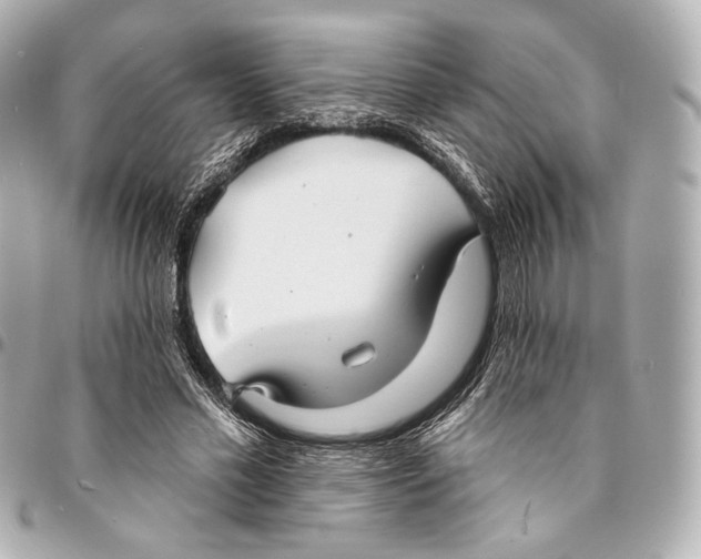 X0000094940589200712201116