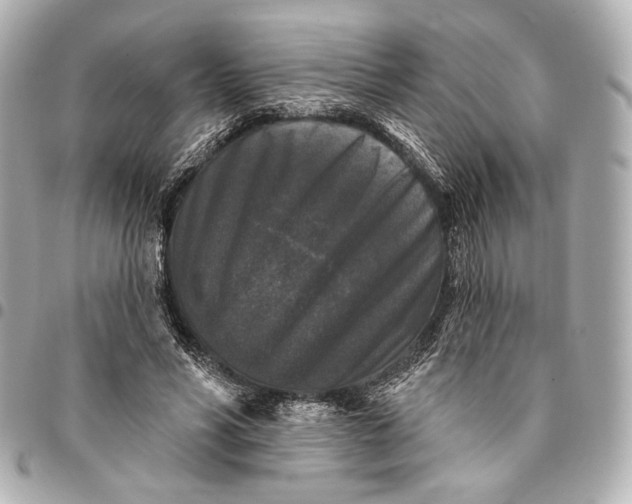 X0000094940590200712201116