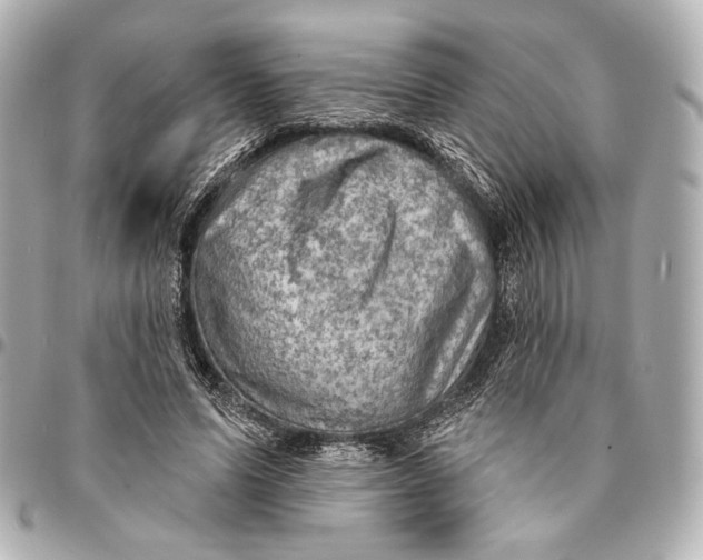 X0000094940591200712201116