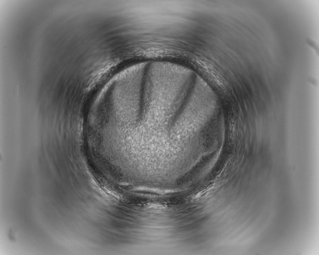 X0000094940592200712201116