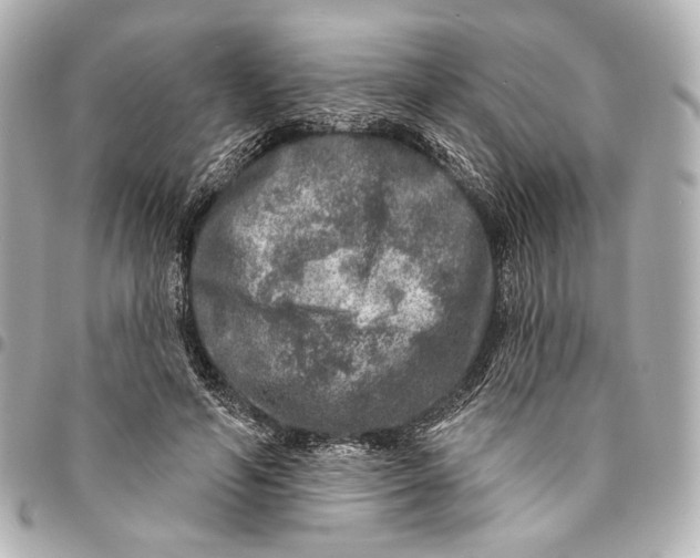 X0000094940594200712201116