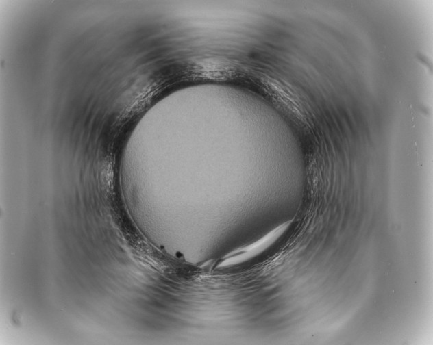 X0000094940595200712201116