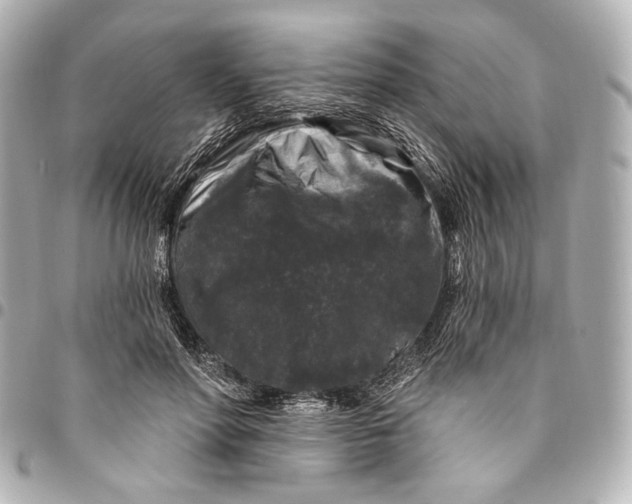 X0000094940598200712201116