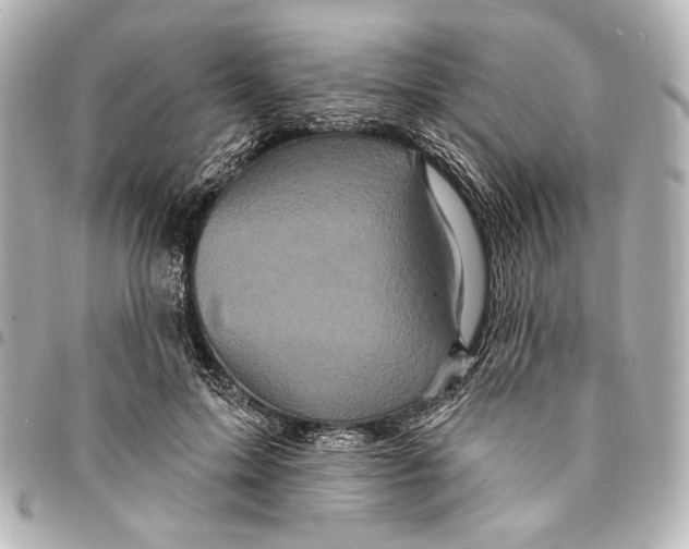 X0000094940599200712201116