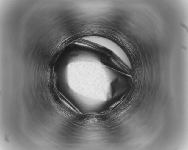 X0000094940600200712201116