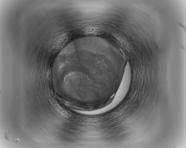 X0000094940601200712201116