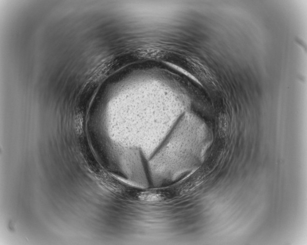 X0000094940602200712201116