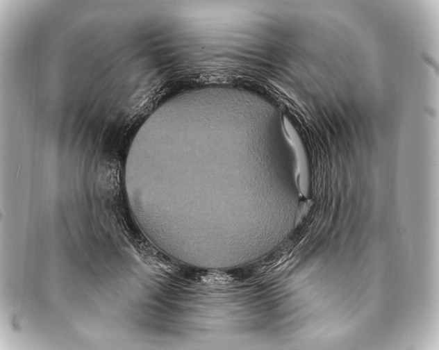 X0000094940603200712201116