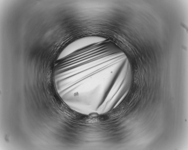 X0000094940604200712201116