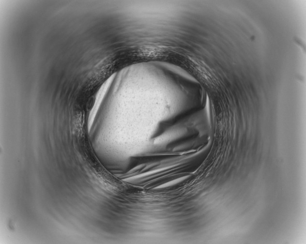 X0000094940605200712201116