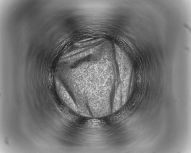 X0000094940607200712201116