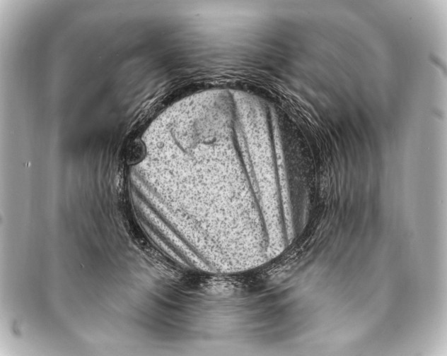 X0000094940608200712201116