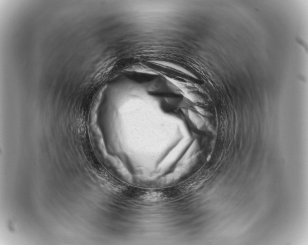 X0000094940609200712201116