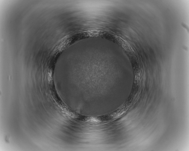 X0000094940610200712201116