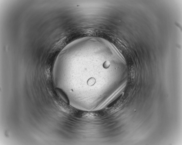 X0000094940611200712201116