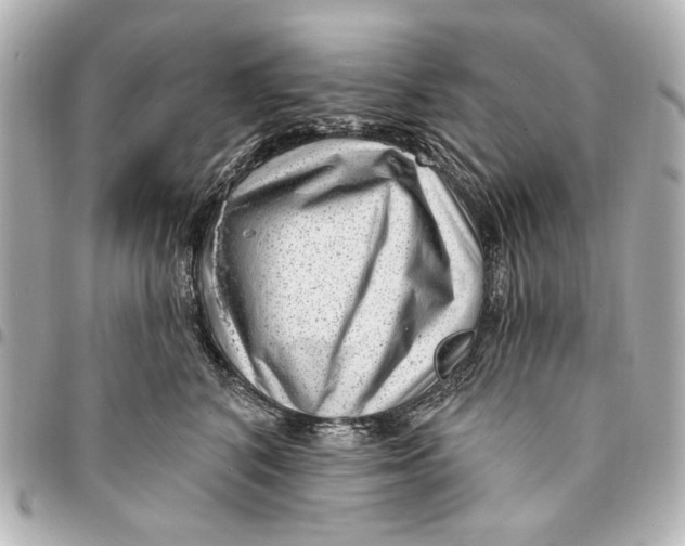 X0000094940616200712201116