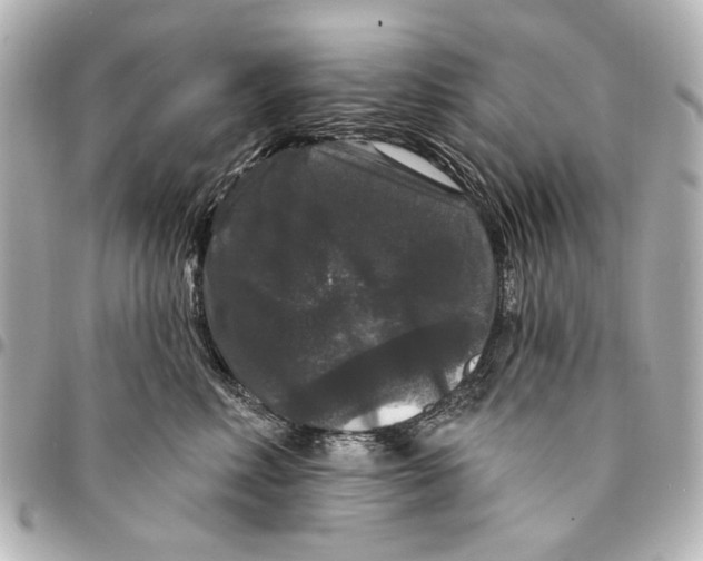 X0000094940618200712201116