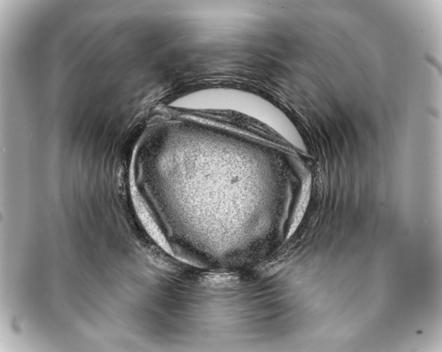 X0000094940619200712201116