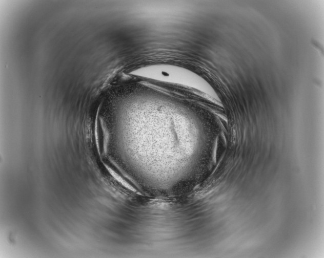 X0000094940620200712201116