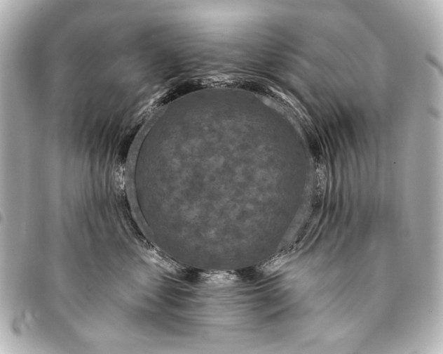 X0000094940621200712201116