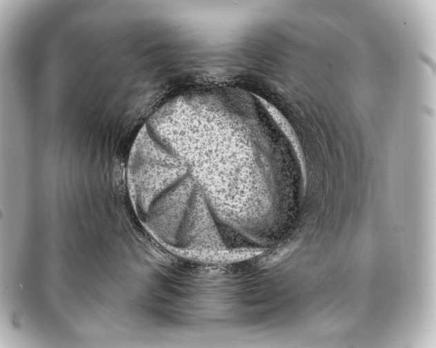 X0000094940624200712201116