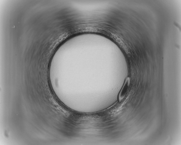 X0000094940625200712201115