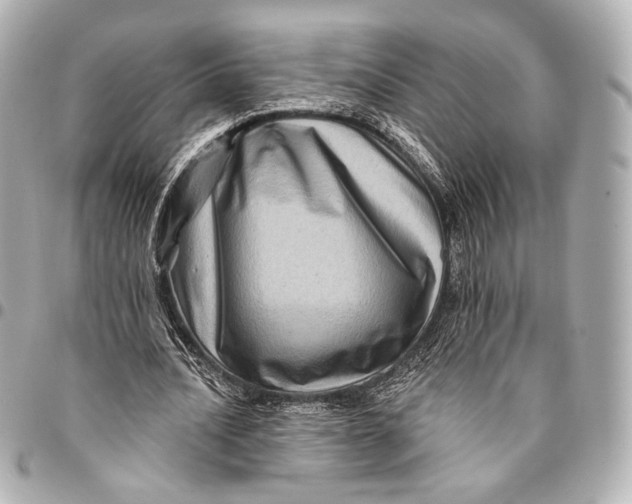 X0000094940628200712201115