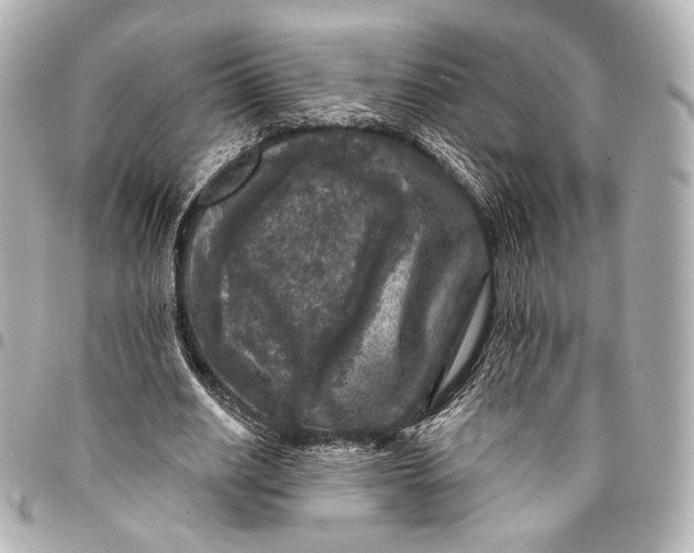 X0000094940630200712201115