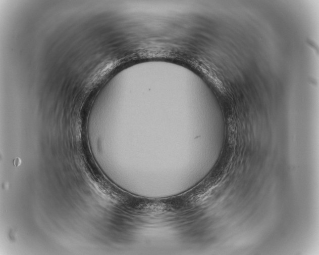 X0000094940631200712201115