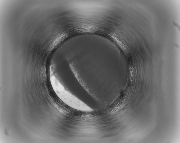 X0000094940634200712201115