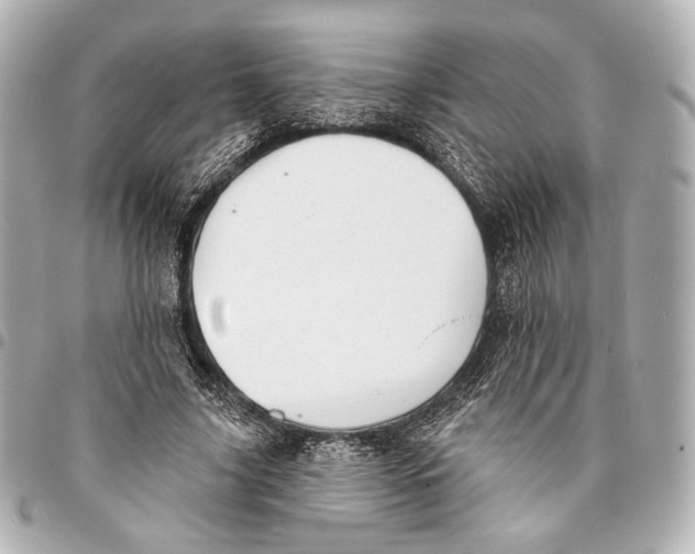 X0000094940635200712201115