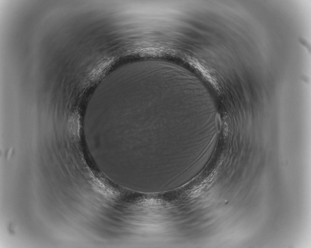 X0000094940637200712201115