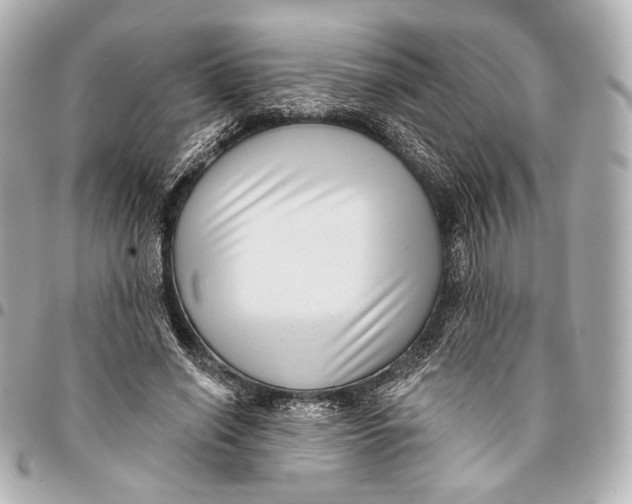 X0000094940638200712201115