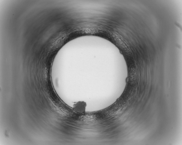 X0000094940639200712201115