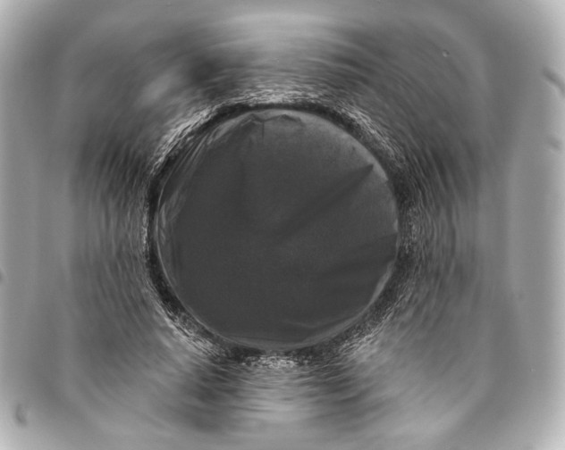 X0000094940640200712201115