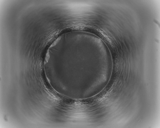 X0000094940641200712201115