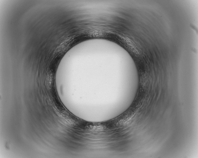 X0000094940645200712201116