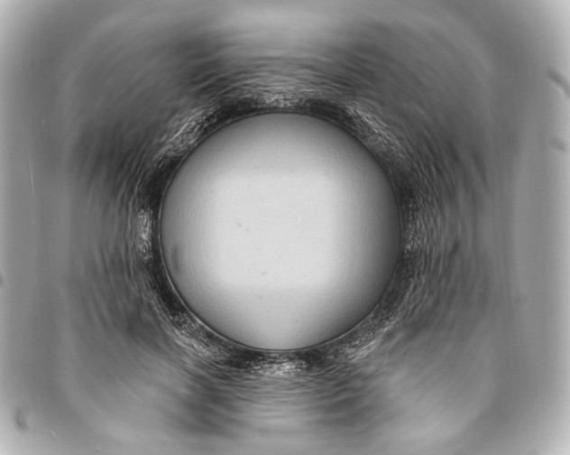 X0000094940646200712201116