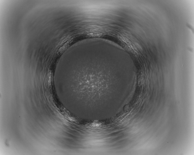 X0000094940647200712201116