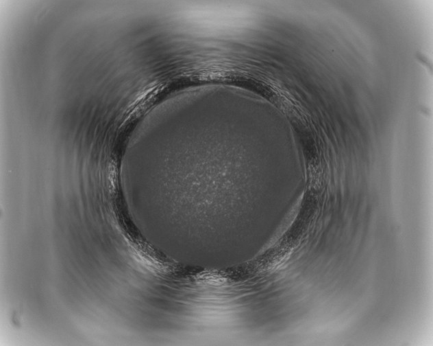 X0000094940648200712201116