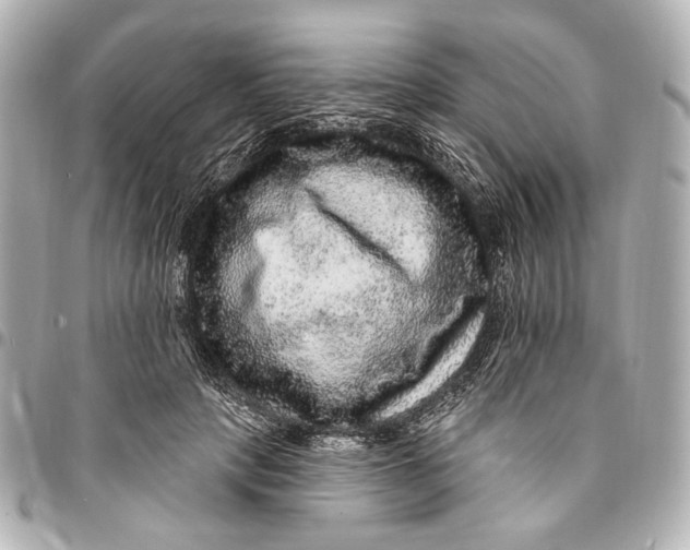 X0000094940649200712201116