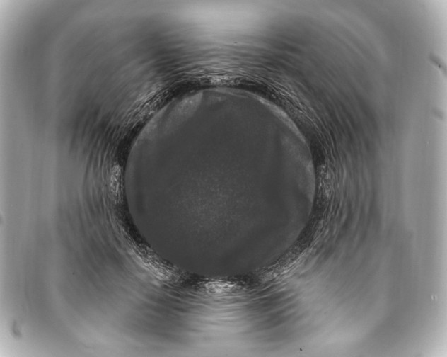 X0000094940650200712201116