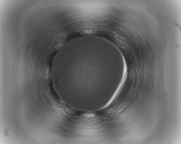 X0000094940651200712201116