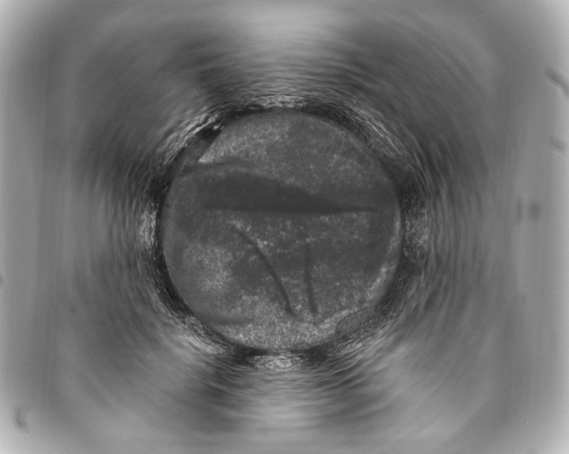 X0000094940652200712201116