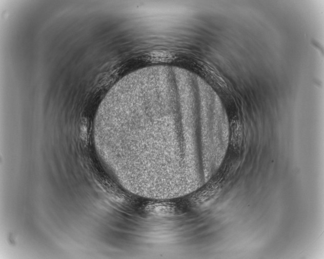 X0000094940655200712201116